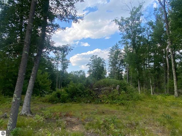 Land for sale in Michigan