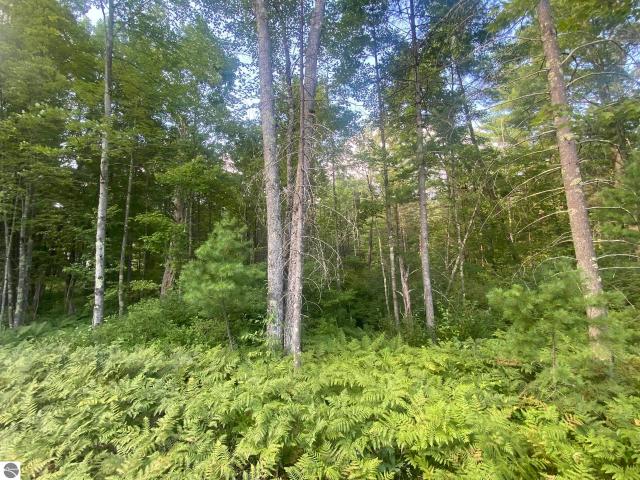 Land for sale in Michigan