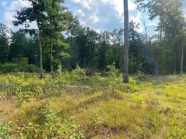 Land for sale in Michigan