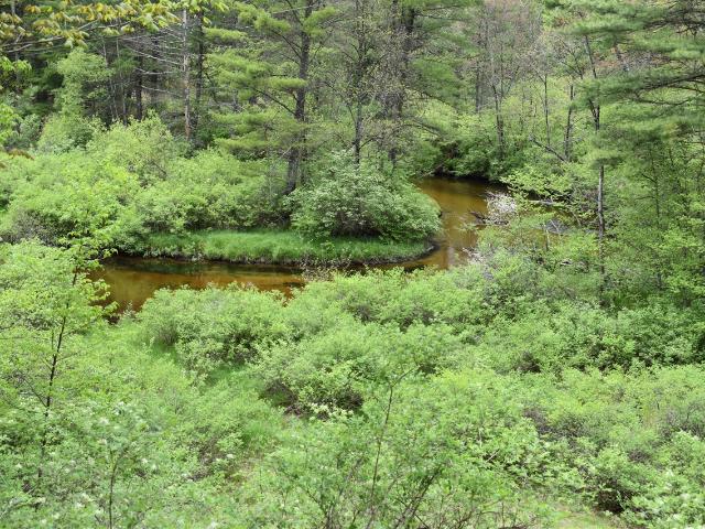 Land for sale in Michigan