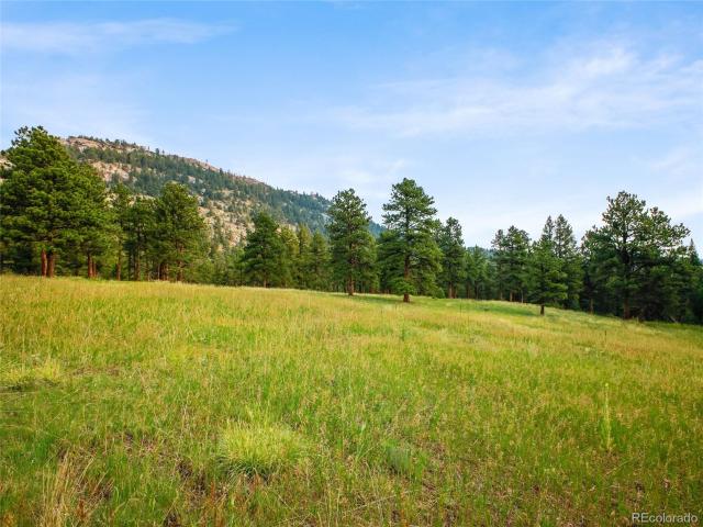 Land for sale in Evergreen, Colorado