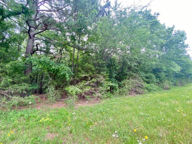Land for sale in Elkhart, Texas