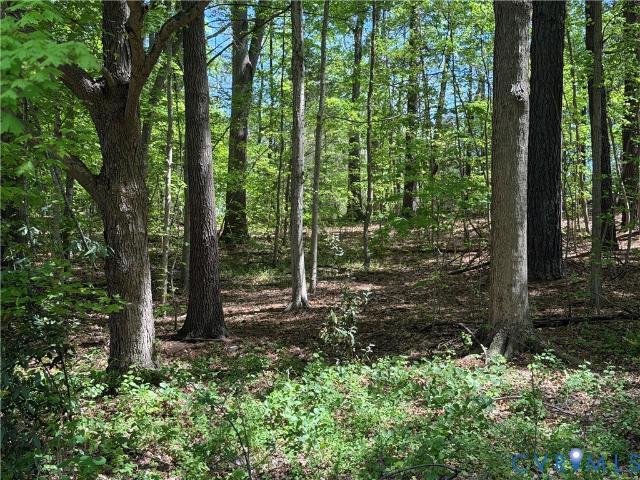 Land for sale in Virginia