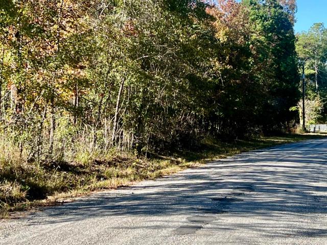 Land for sale in South Carolina
