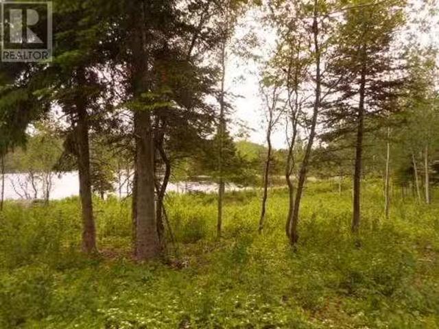 House for sale in Springdale, Newfoundland And Labrador