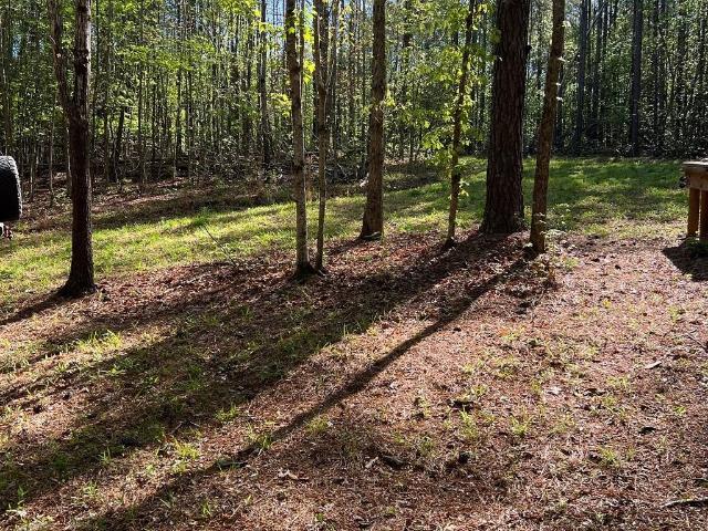 Land for sale in Lilesville, Anson County