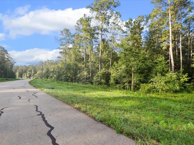 Land for sale in Walker, Texas