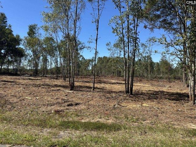 Land for sale in Pomaria, South Carolina