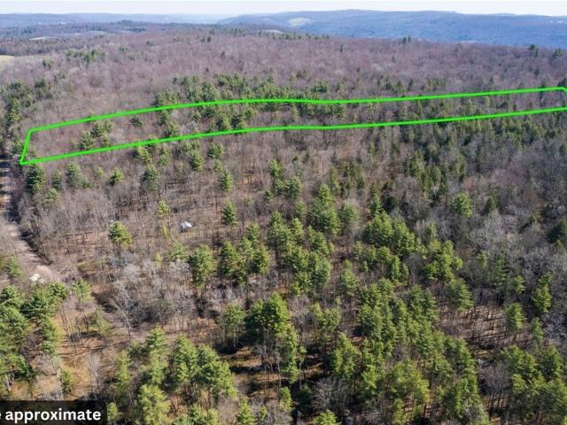 Land for sale in Guilford, New York