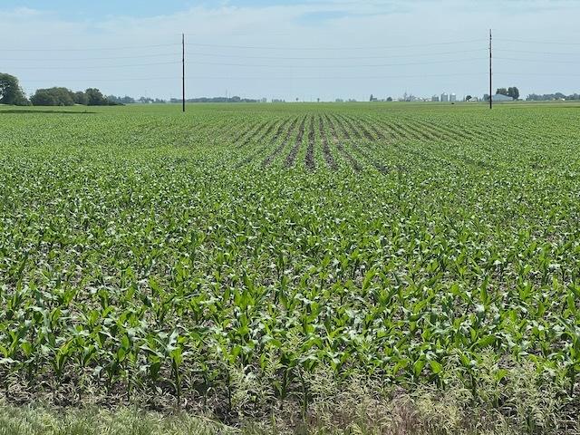 Farm for sale in Eldridge, Iowa