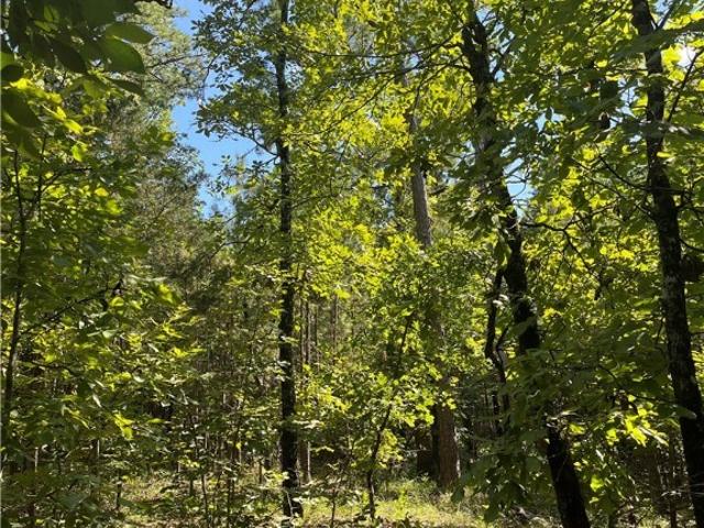 Land for sale in Red Oak, Oklahoma
