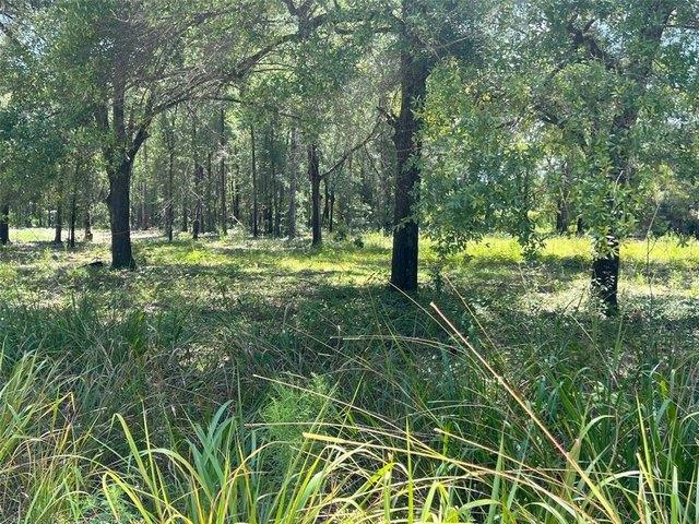 Land for sale in Trenton, Florida