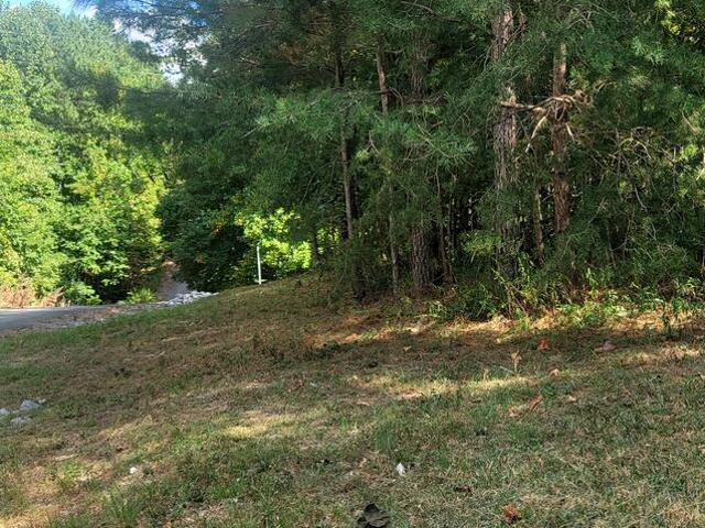 Land for sale in Spencer, Middle Tennessee