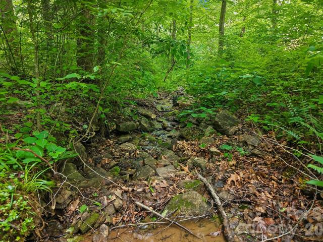 Land for sale in Haywood, North Carolina