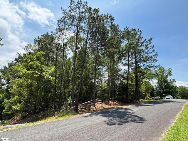 Land for sale in Waterloo, South Carolina