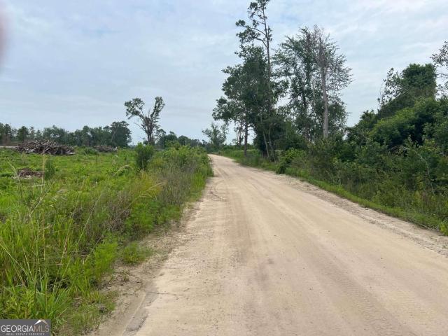 Land for sale in Alma, Georgia