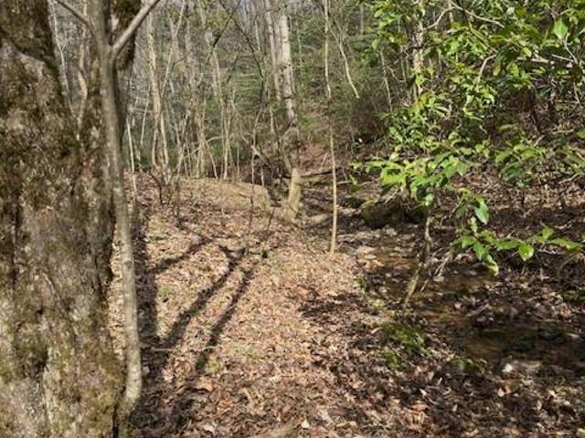 Land for sale in Stokes, North Carolina