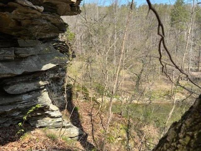 Land for sale in Stokes, North Carolina