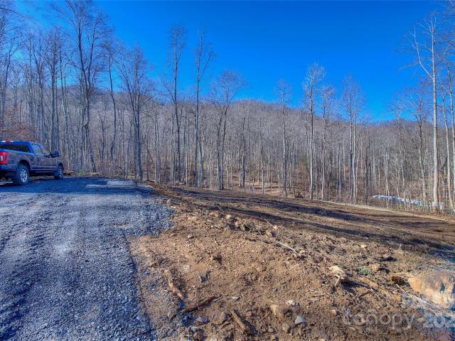 Land for sale in Spruce Pine, North Carolina