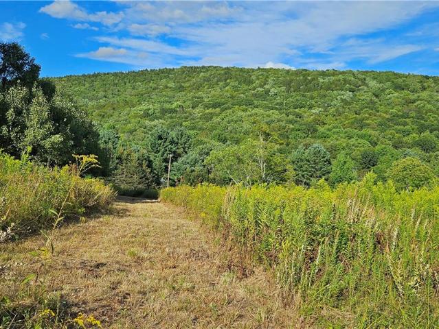 Land for sale in Andes, New York