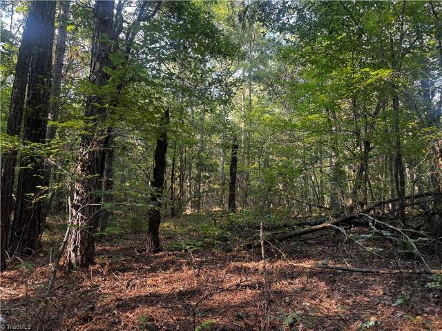 Land for sale in Seagrove, North Carolina