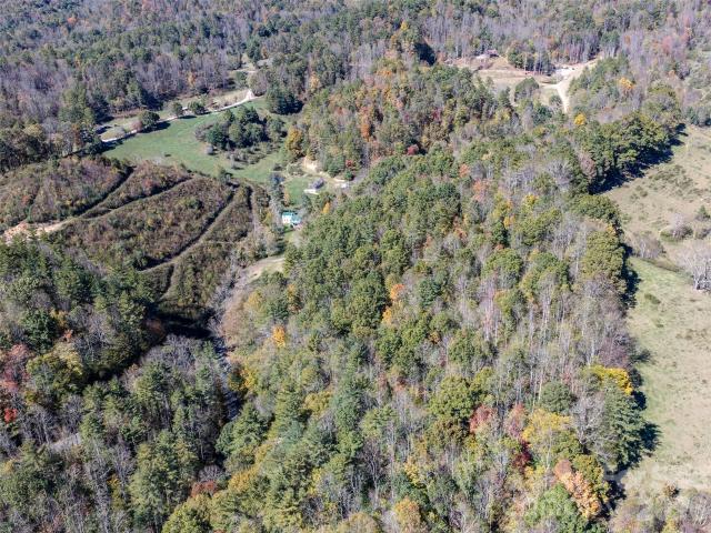 Land for sale in Shelton Laurel, Clyde