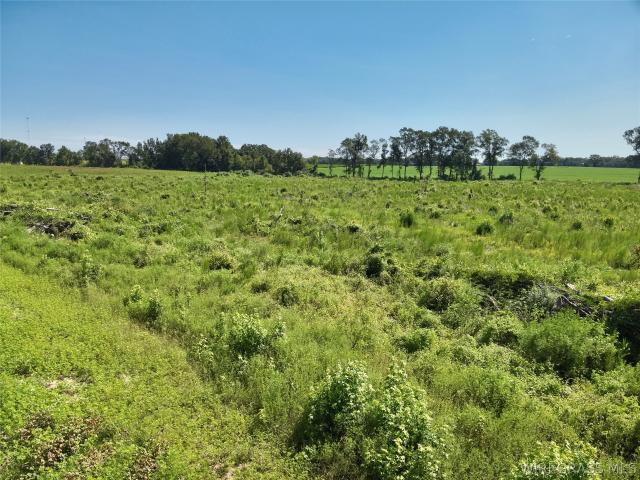 Land for sale in Geneva, Alabama