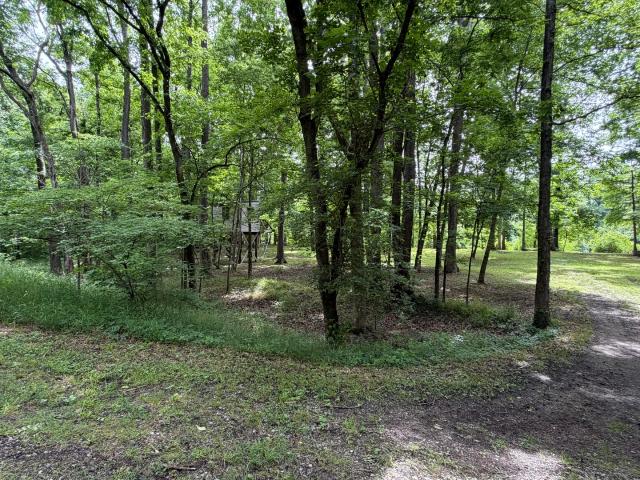 Land for sale in Murphysboro, Jackson County