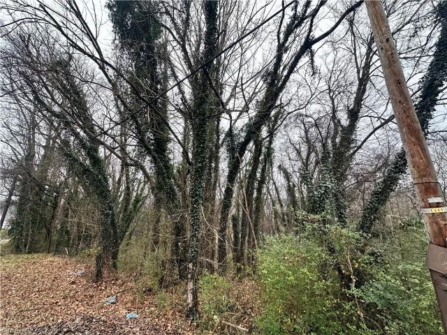 Land for sale in Eden, North Carolina