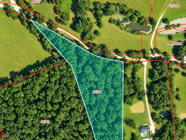 Land for sale in Shepherd, San Jacinto County