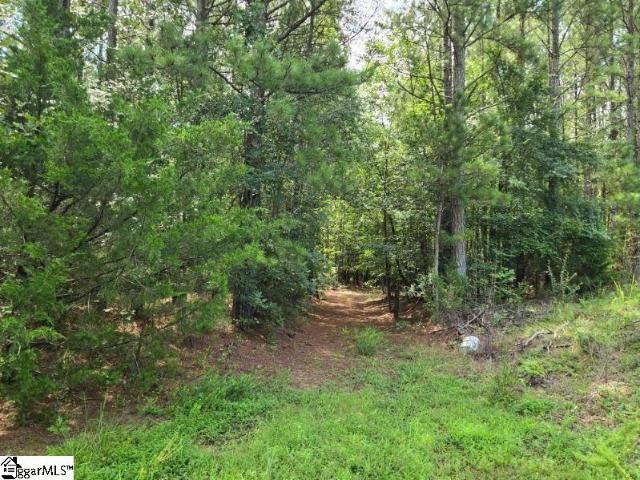 Land for sale in Waterloo, South Carolina