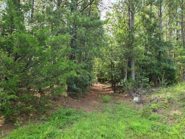 Land for sale in Waterloo, South Carolina