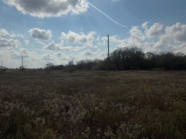 Farm for sale in Runge, Texas