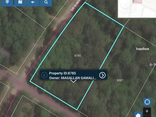 Land for sale in Village Mills, Texas
