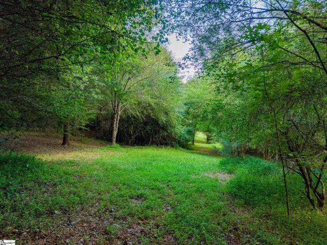 Land for sale in Six Mile Run, South Carolina