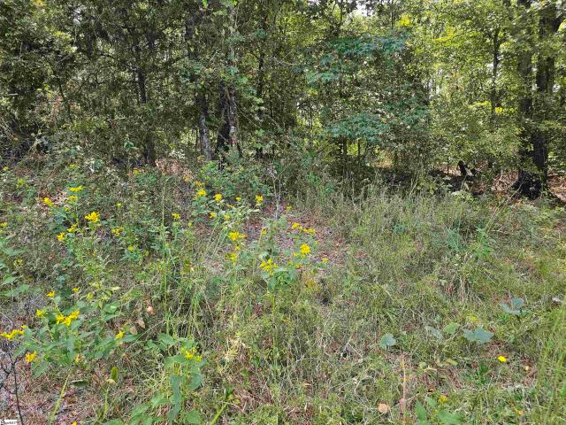 Land for sale in Waterloo, South Carolina