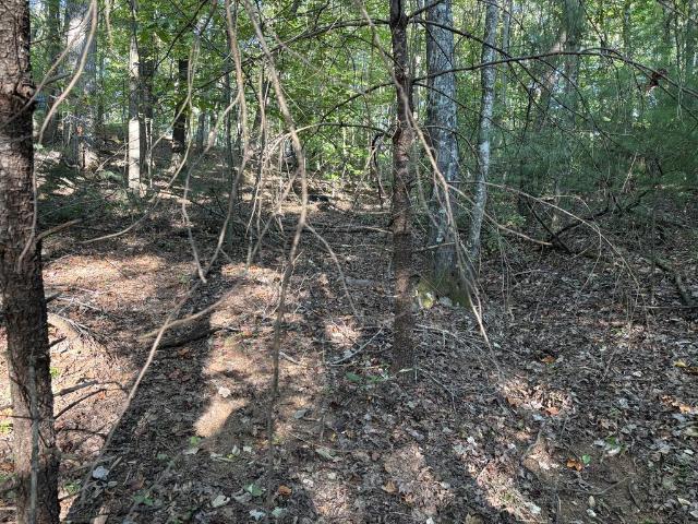 Land for sale in Cana, Carroll County