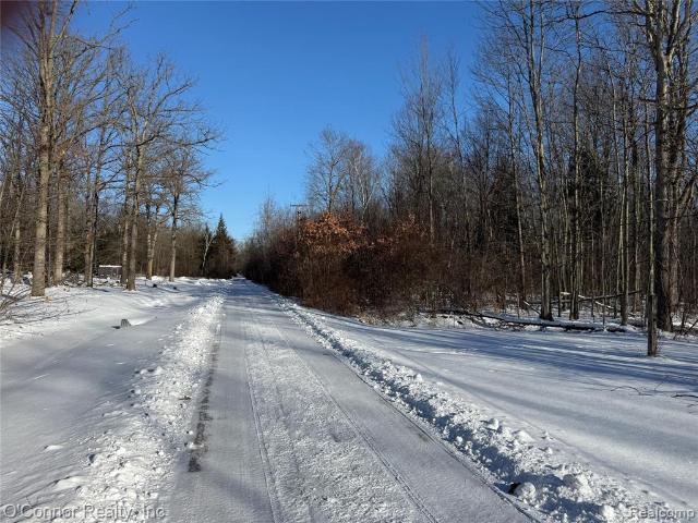 Land for sale in Michigan