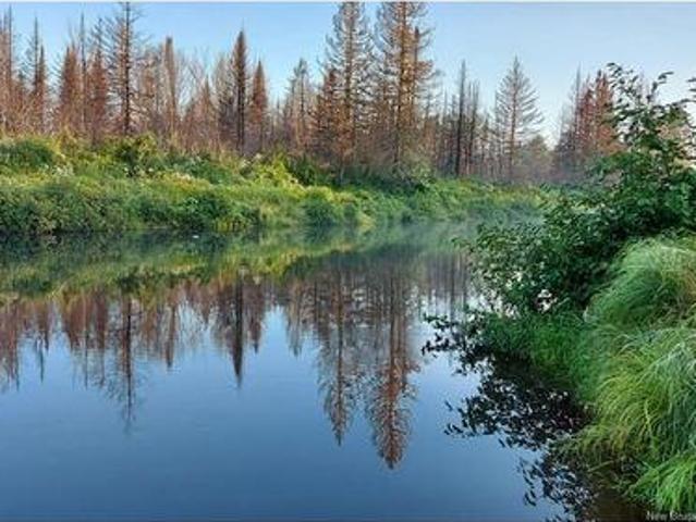 Land for sale in South Nelson, New Brunswick