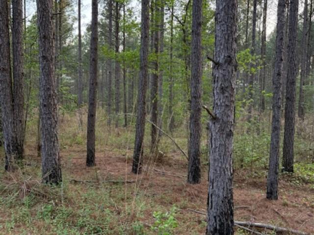 Land for sale in Lilesville, Anson County