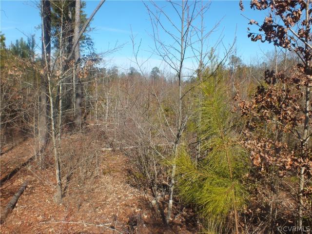 Land for sale in Virginia