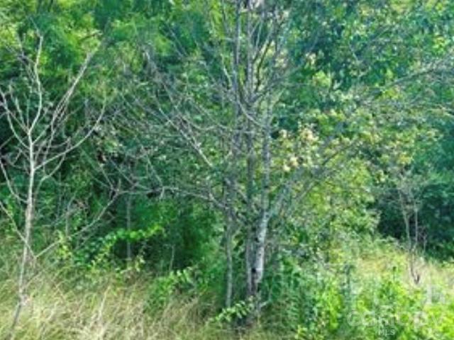 Land for sale in Clyde, Haywood County