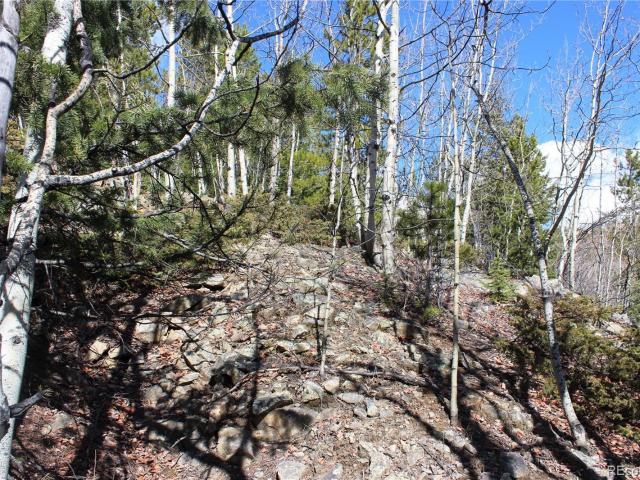Land for sale in Central City, Colorado
