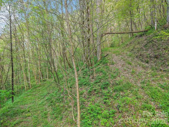 Land for sale in Haywood, North Carolina