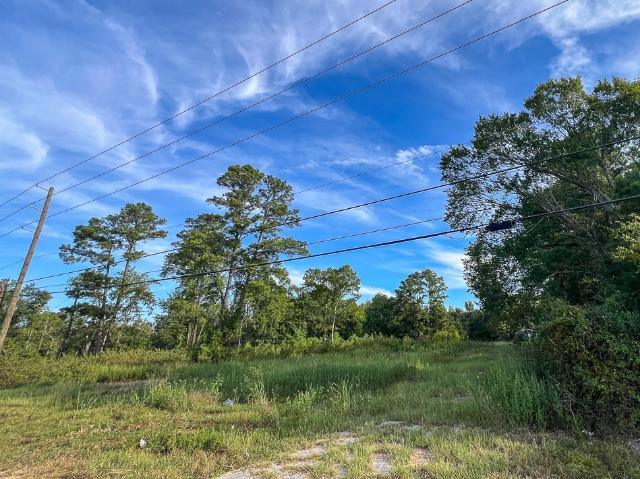 Land for sale in New Waverly, Walker County
