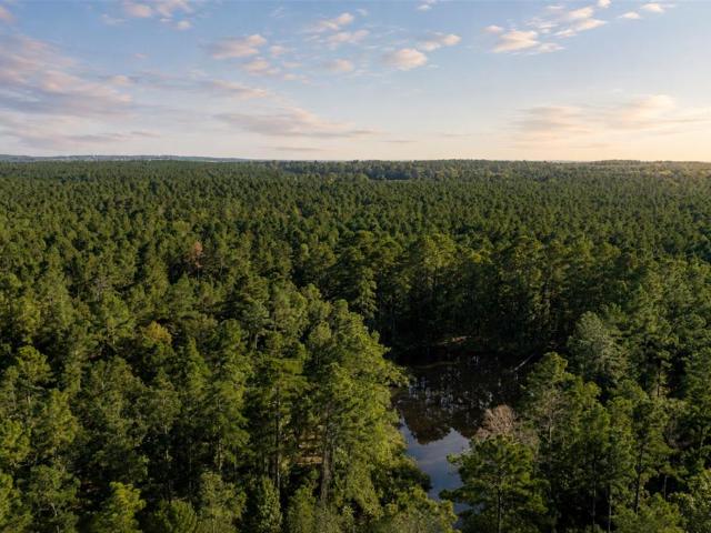 Land for sale in Elkhart, Texas