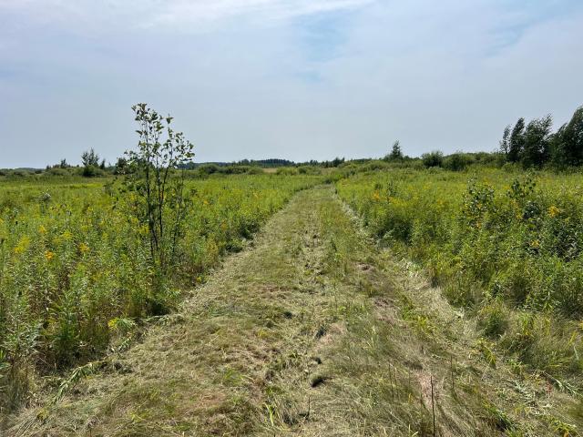 Land for sale in Cloverdale, Arlone Township