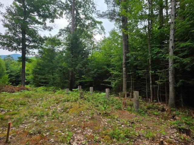 Land for sale in New Hampshire