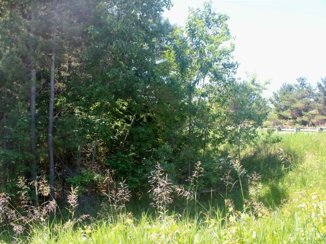 Land for sale in Michigan