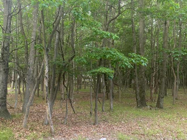 Land for sale in Dingmans Ferry, Pennsylvania